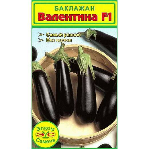 Valentine eggplant