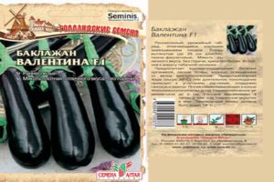 Description et caractéristiques de l'aubergine de la Saint-Valentin, culture et soins