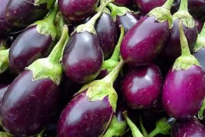 Beschrijving van de auberginesoort Japanse dwerg, zijn kenmerken en opbrengst