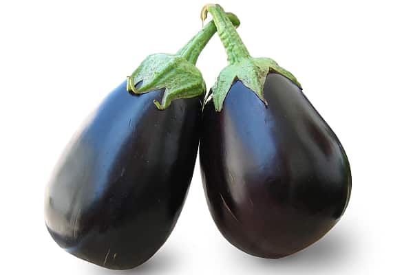 eggplant appearance