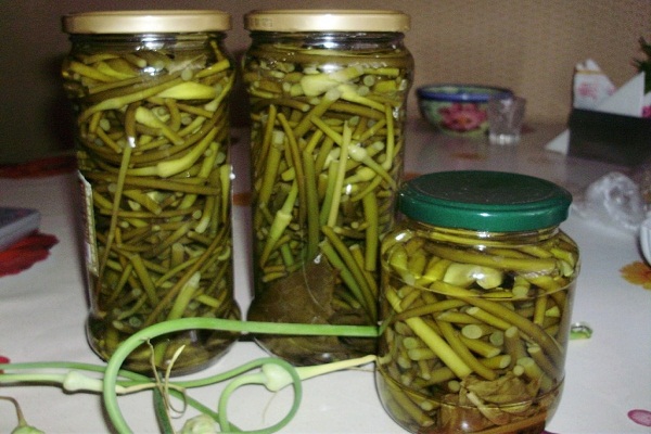 pickled arrows of garlic in jars