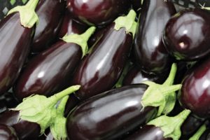 TOP 15 soorten aubergines voor een polycarbonaat kas, teelt en verzorging, plantschema