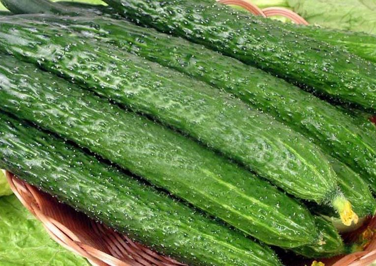 chinese cucumbers