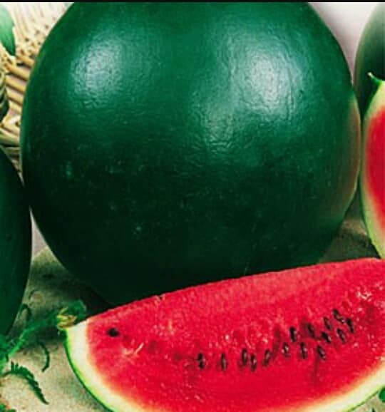 reife Wassermelone