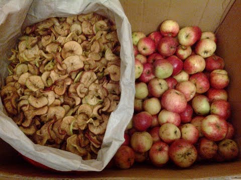sušenje jabuka