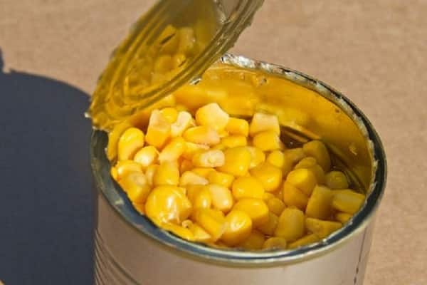 maïs dans un pot