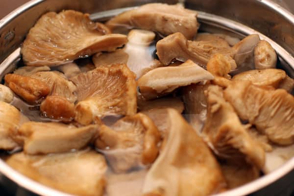 boiling milk mushrooms