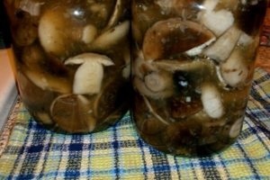 Come salare e marinare i funghi aspen, ricette per l'inverno in barattoli