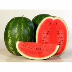 Opis i karakteristike karitanske sorte lubenice, prinos i uzgoj