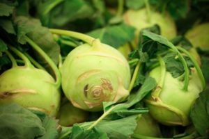 Công thức nấu su hào bắp cải cho mùa đông không cần khử trùng