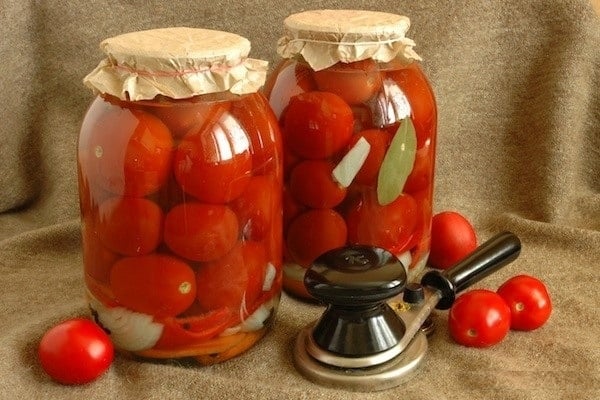 paradajka v 3-litrovej nádobe