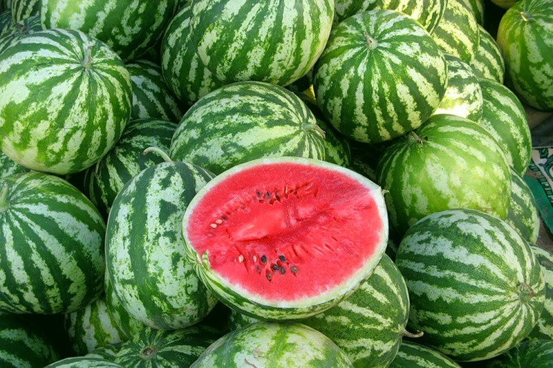 rijpe watermeloenen