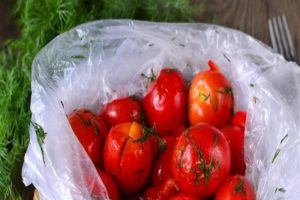 Hafif tuzlu domatesleri bir torbada 5 dakikada hızlı pişirmek için hızlı adım adım tarifler