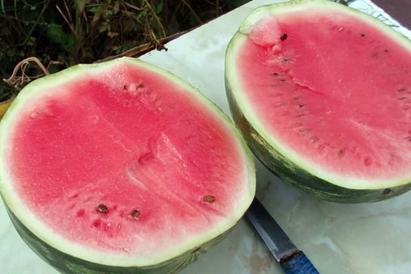 Schnitt Wassermelone Produzent