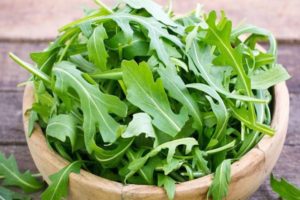 The best species and varieties of perennial arugula for growing in open ground and greenhouses, especially planting and plant care