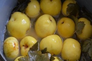 Recepten voor het maken van geweekte appels voor de winter thuis in potten