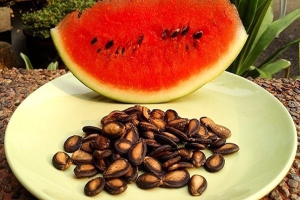 semená melónu