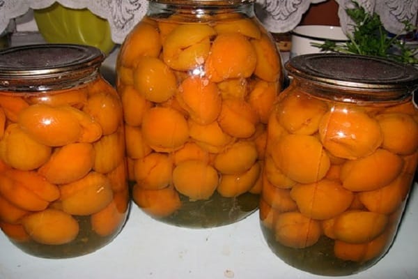 apricot with seeds