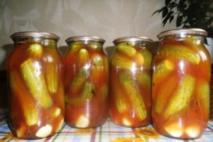 Basic recipes for cooking awesome cucumbers in tomato sauce for the winter