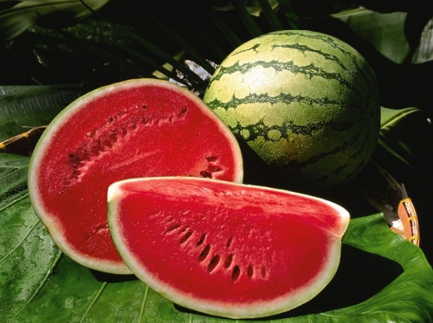 saftige Wassermelone