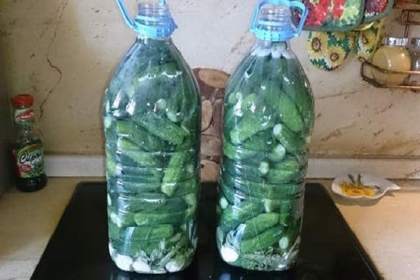 nakladané uhorky