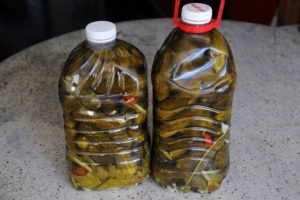 Recetas paso a paso para pepinos encurtidos en botellas de plástico para el invierno, almacenamiento.