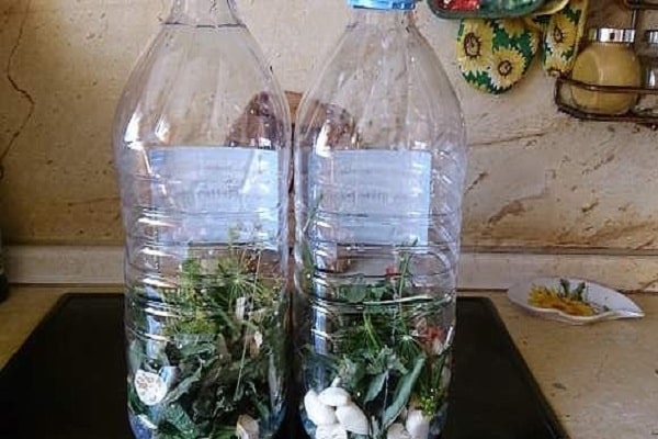 ampolles de plàstic