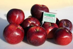 Descrizione e caratteristiche della varietà di mele Williams Pride, quanto spesso fruttifica e regioni di coltivazione
