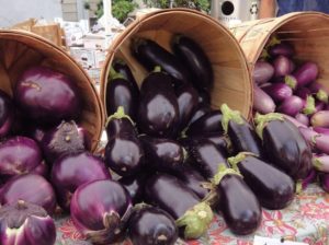 De meest populaire en productieve soorten aubergines voor het kweken in het open veld en de regels voor het kiezen van zaden