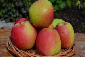 Beschrijving van de Scala-appelvariëteit, de belangrijkste kenmerken en beoordelingen van tuinders