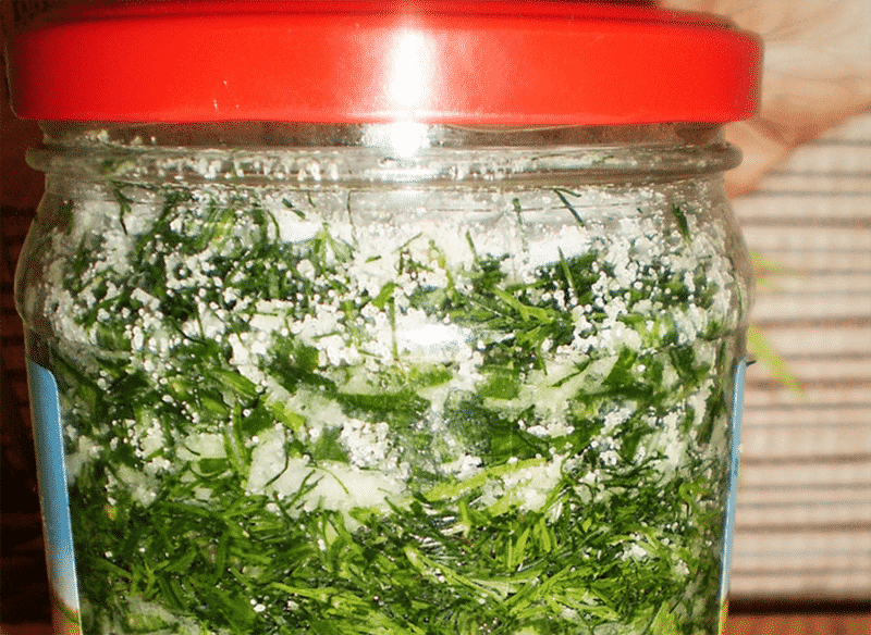 dill for the winter