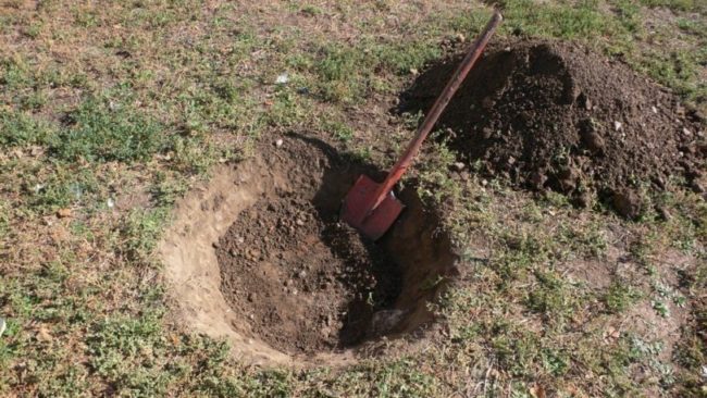 dug hole