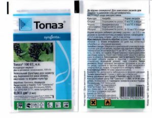 Istruzioni per l'uso del fungicida Topaz per la lavorazione dell'uva in primavera e autunno e tempi di attesa