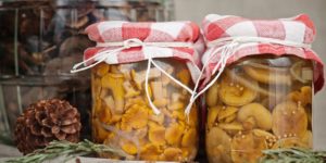 Jednostavni detaljni recepti za soljenje gljiva kod kuće za zimu u staklenkama