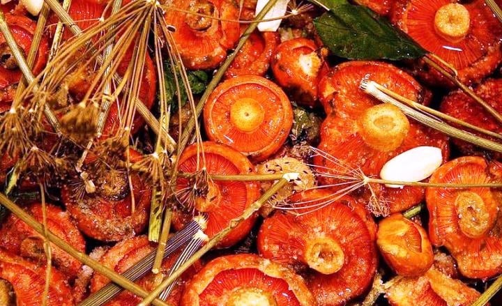 salted mushrooms