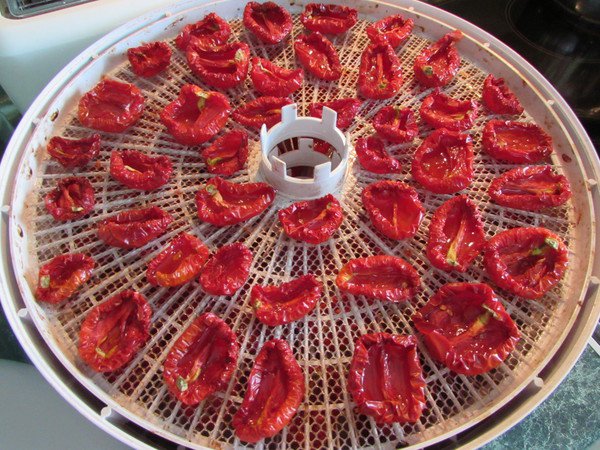 tomates secados al sol