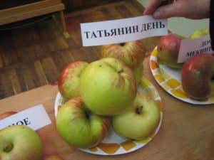Descrizione della varietà di melo Tatyanin Den, caratteristiche di resa e regioni di coltivazione