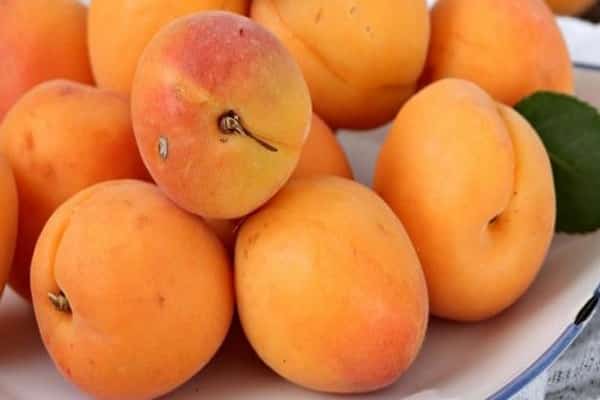 healthy apricot
