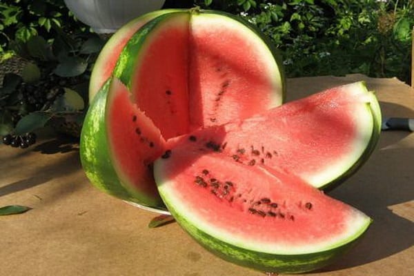 description of watermelons