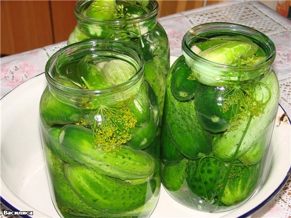 pepinos con hierbas en un frasco