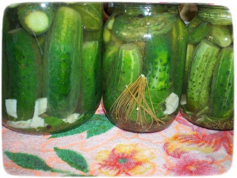 cucumbers with citric acid