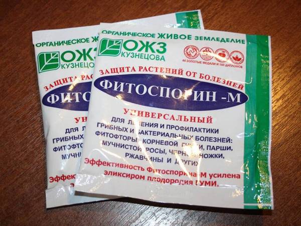 Fitosporin pre hrozno návod na použitie
