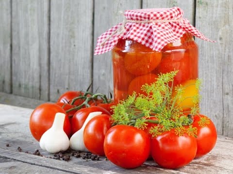 tomates regiamente