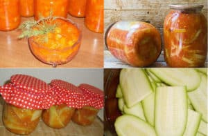 TOP 10 step-by-step recipes for zucchini snacks for the winter Mother-in-law's tongue with tomato paste