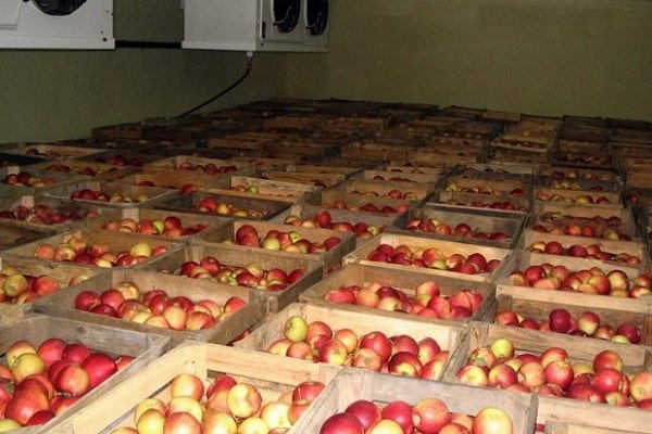 distribuir manzanas
