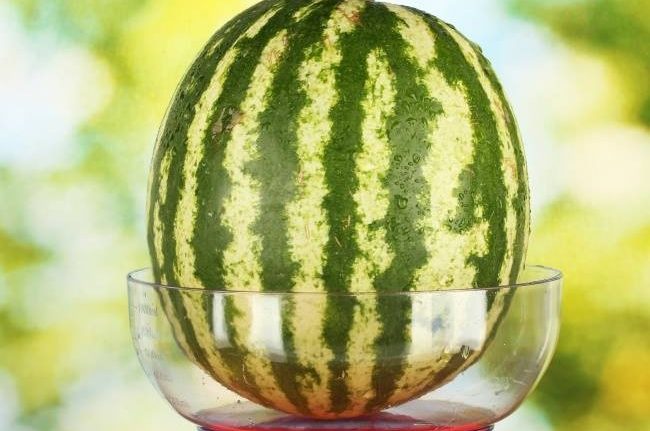 färsk vattenmelon