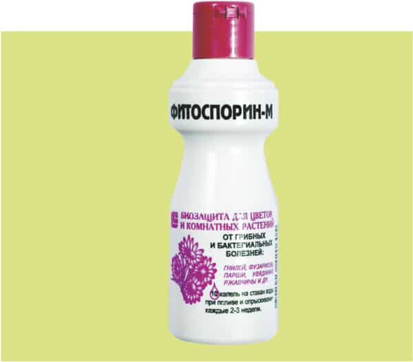 fitosporīns vīnogām