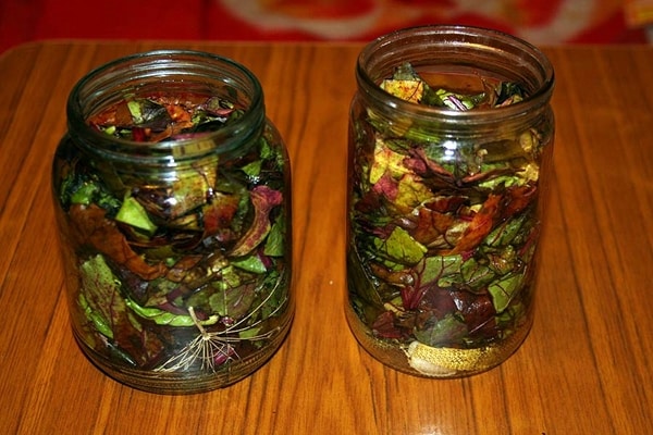 canned chard leaves