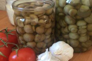 TOP 10 recipes for instant homemade pickled champignons for the winter