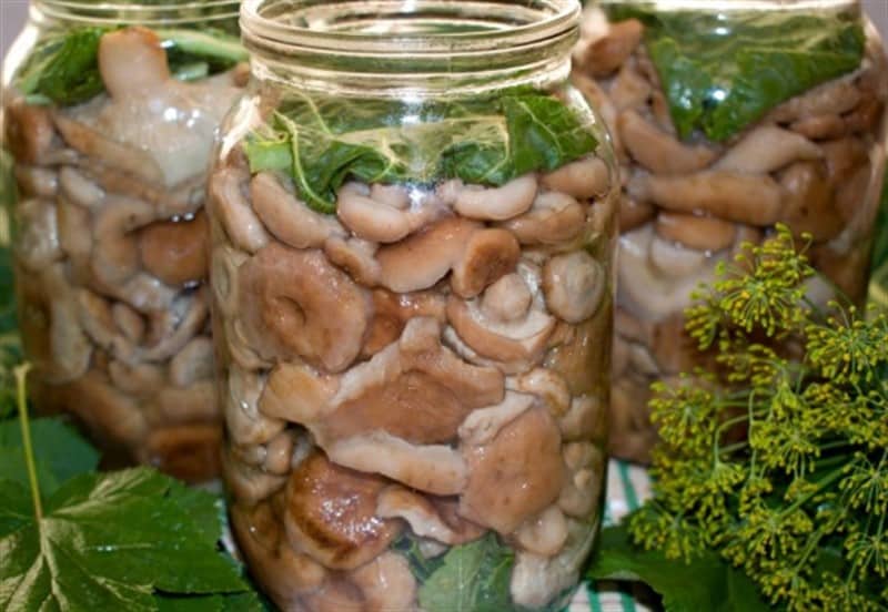 pickled mushrooms